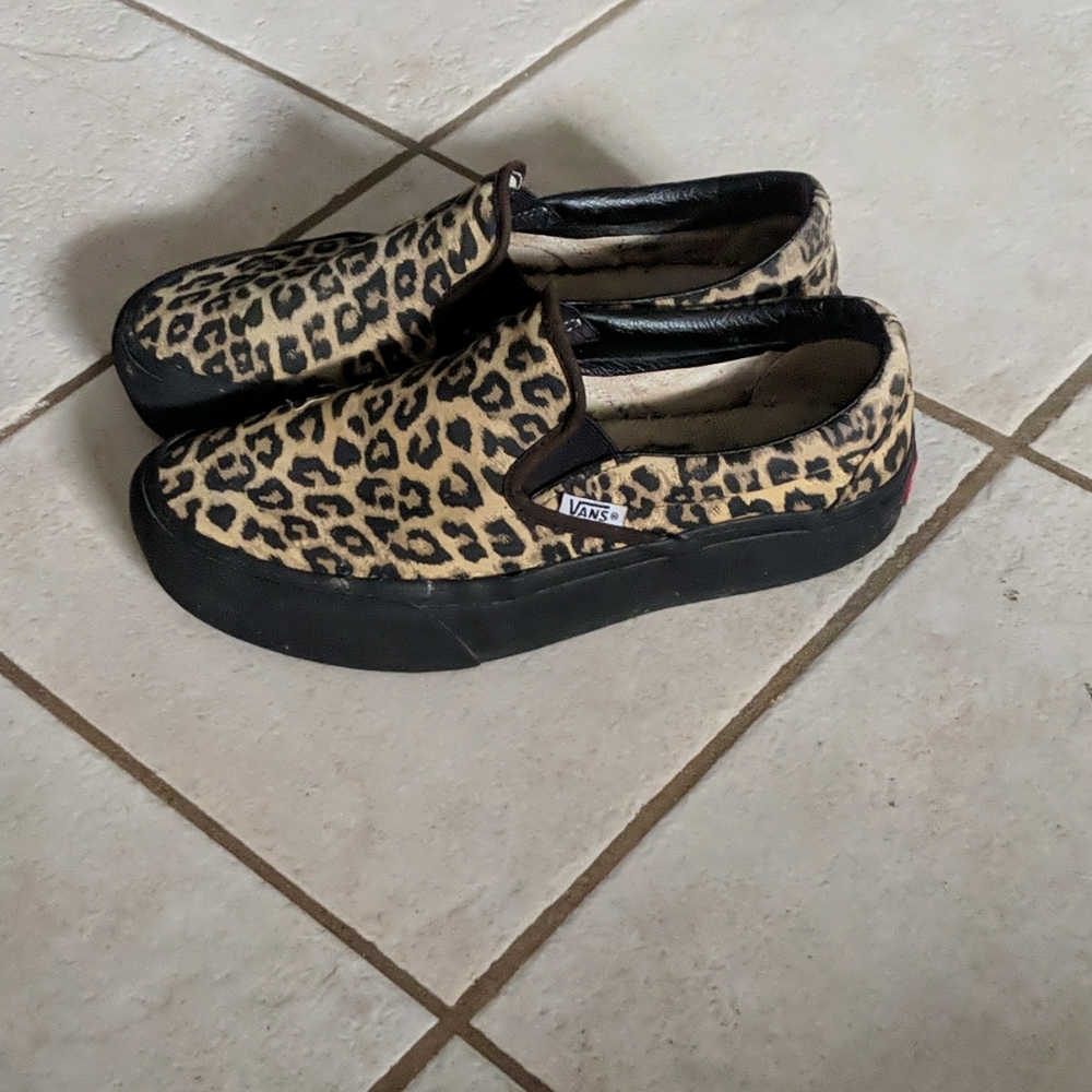 Van slides